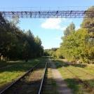 Проектирование пешеходного перехода через ж.д. пути необщего пользования (г. Березовский, 2017 г.)